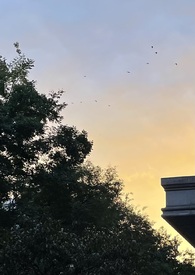 什么东西才能防住蚊虫叮咬啊
