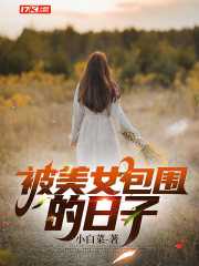 被美女包围了大结局